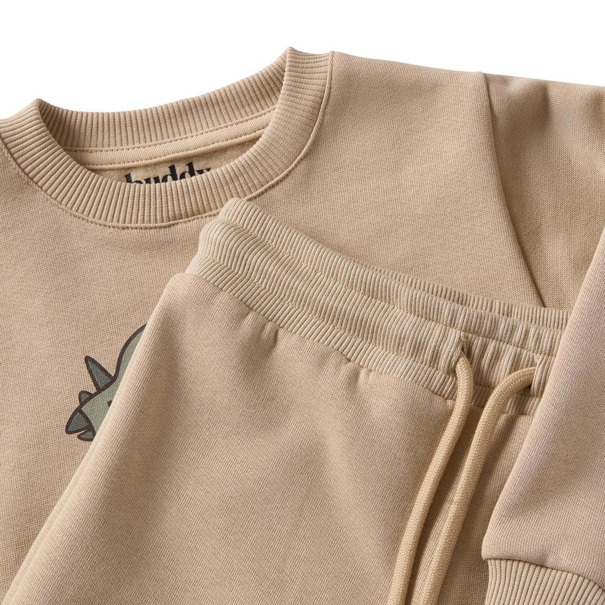 GOTS Martin Sweatshirt Set Green Dino