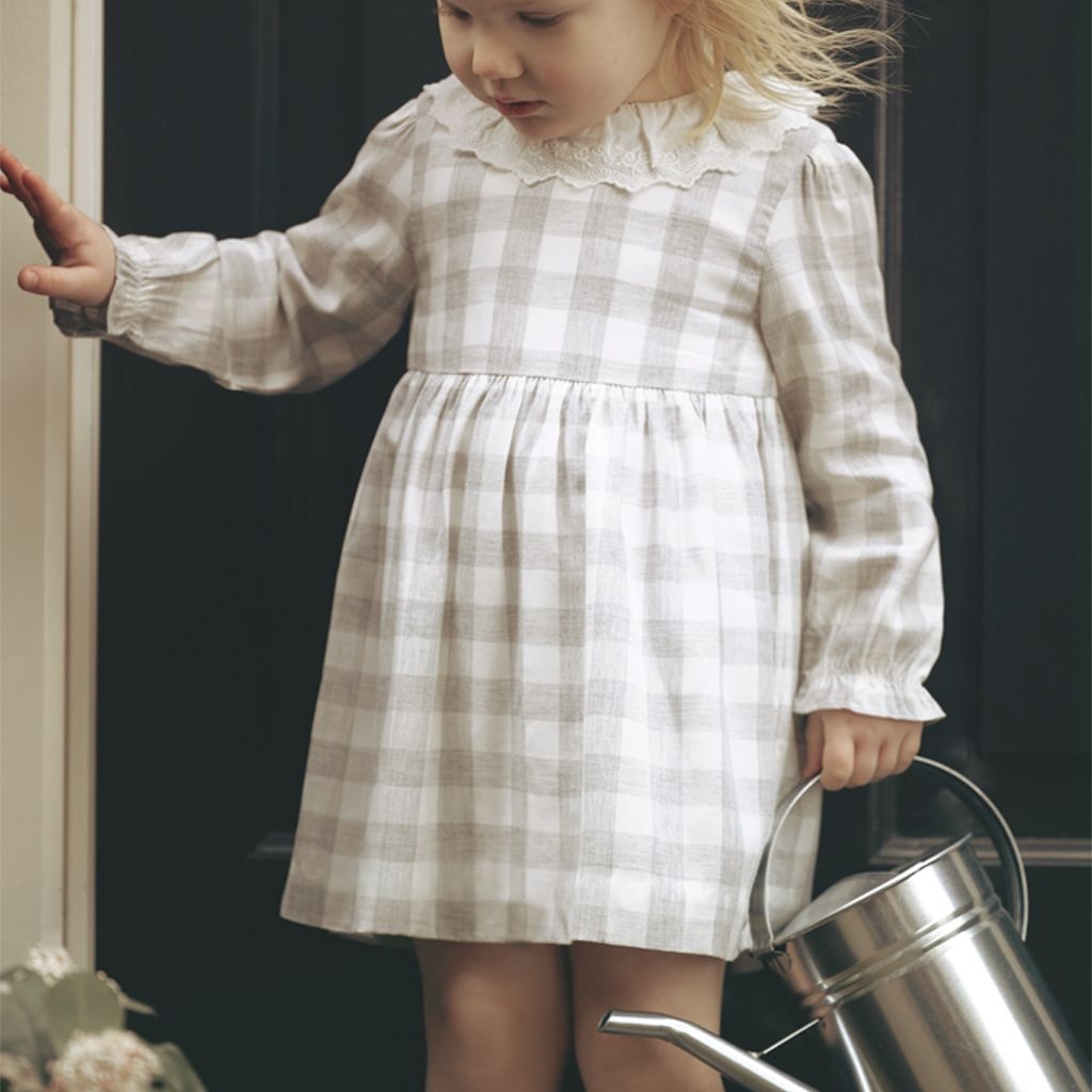 Gingham Dress Gray